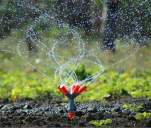 Landscape Irrigation