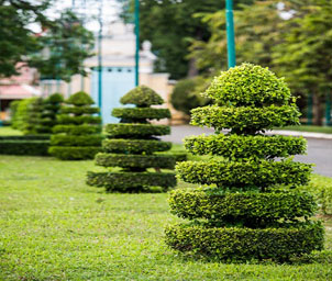 Topiaries